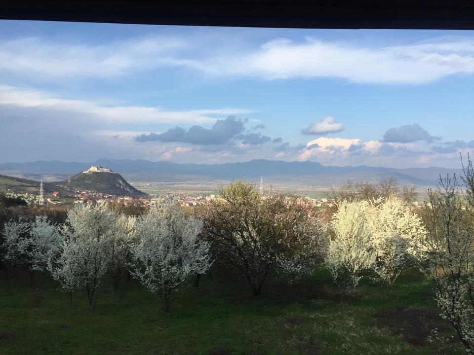 Hanu Lu Mos Opinca Deva Bagian luar foto